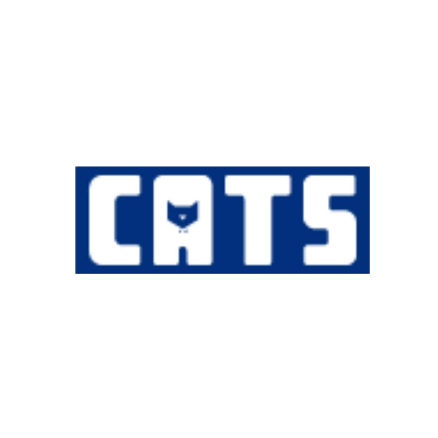 CATS (Computer Aided Test Systems)
